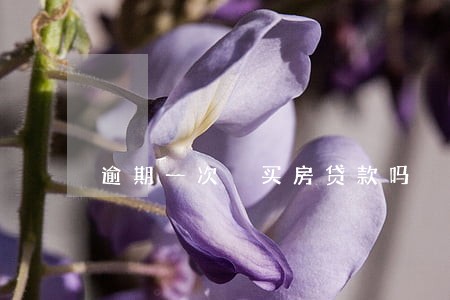 逾期一次 买房贷款吗 逾期一次 买房贷款吗